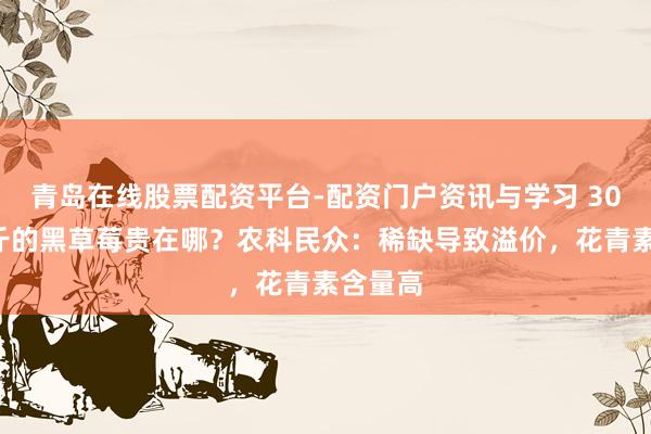 青岛在线股票配资平台-配资门户资讯与学习 300元一斤的黑草莓贵在哪？农科民众：稀缺导致溢价，花青素含量高