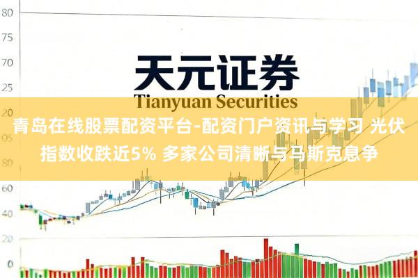 青岛在线股票配资平台-配资门户资讯与学习 光伏指数收跌近5% 多家公司清晰与马斯克息争