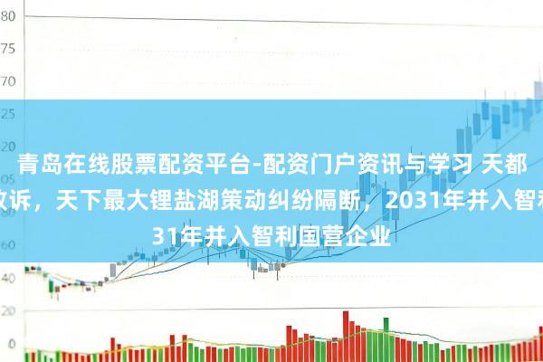 青岛在线股票配资平台-配资门户资讯与学习 天都锂业终审败诉，天下最大锂盐湖策动纠纷隔断，2031年并入智利国营企业