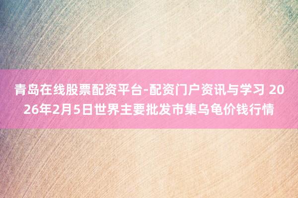 青岛在线股票配资平台-配资门户资讯与学习 2026年2月5日世界主要批发市集乌龟价钱行情