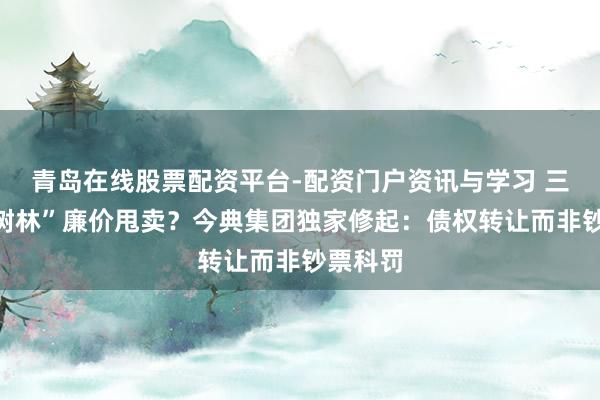 青岛在线股票配资平台-配资门户资讯与学习 三亚“红树林”廉价甩卖？今典集团独家修起：债权转让而非钞票科罚